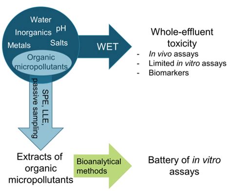 Whole Effluent Toxicity Methods 